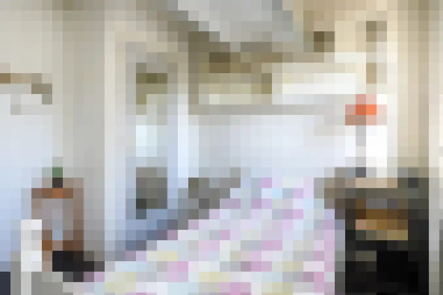 Rijtseweg 56 Diessen thumbnail 22