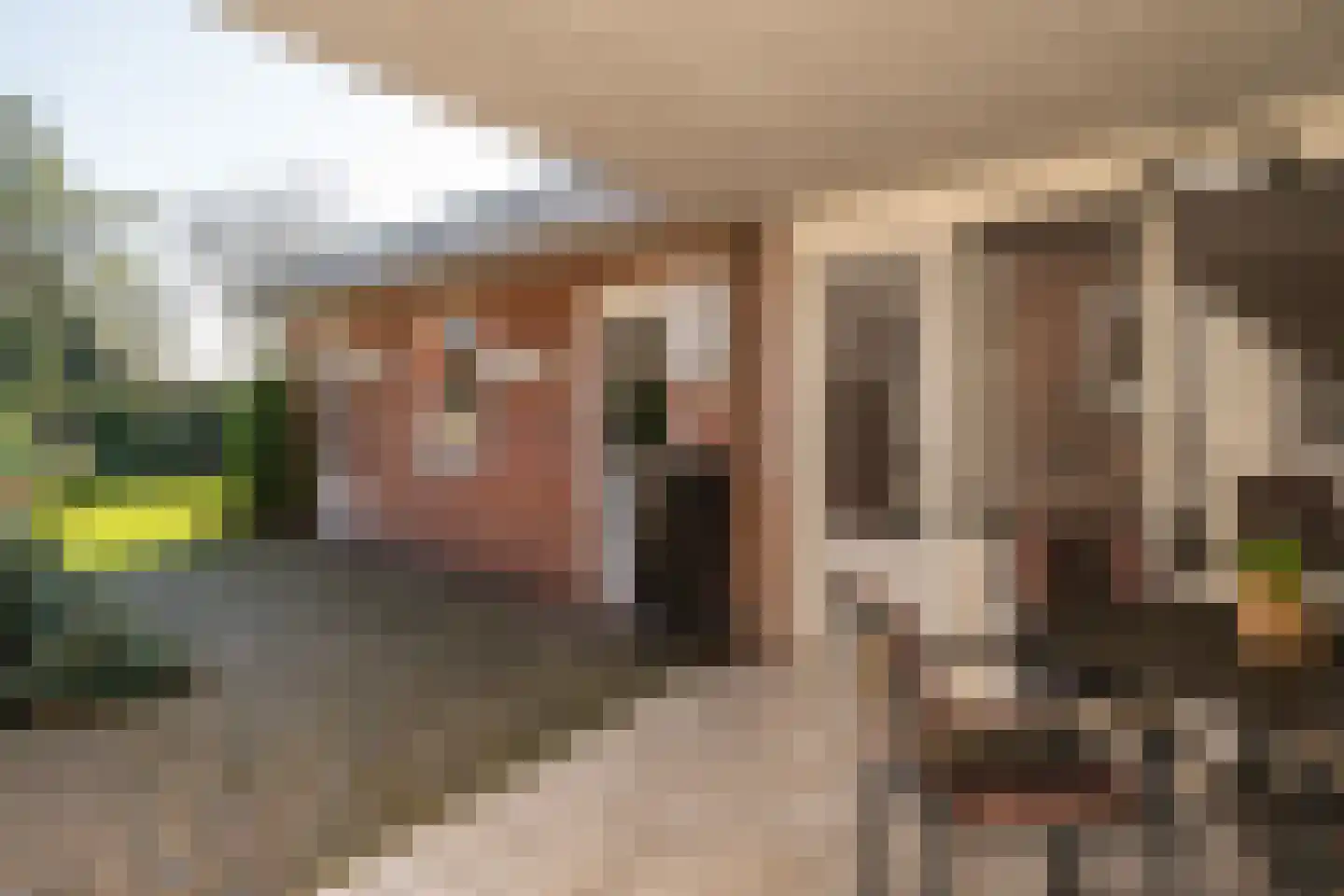 Rijtseweg 56 Diessen thumbnail 31