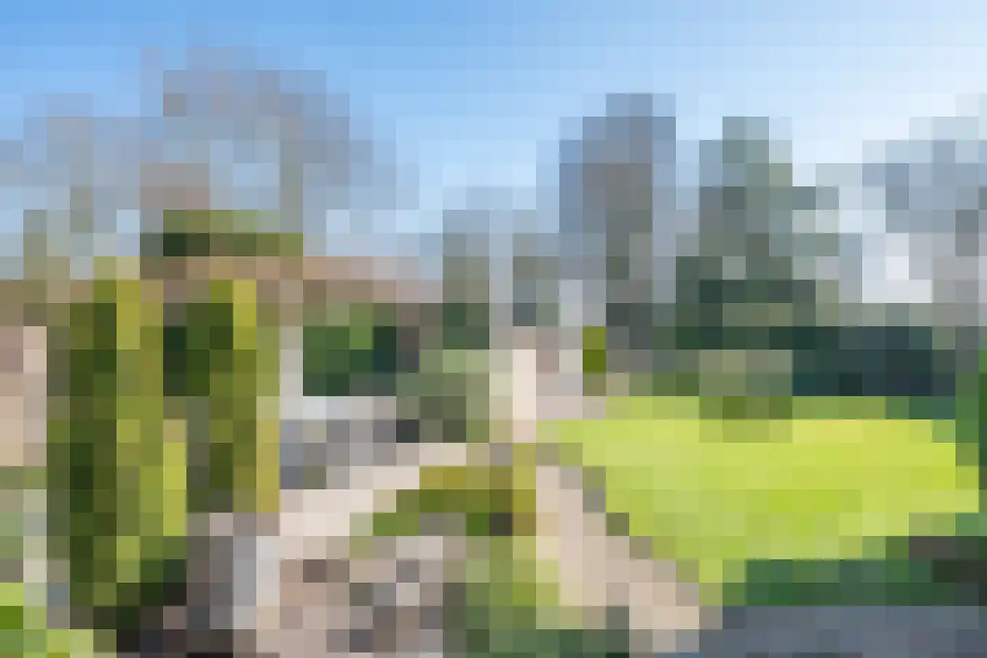 Rijtseweg 56 Diessen thumbnail 36