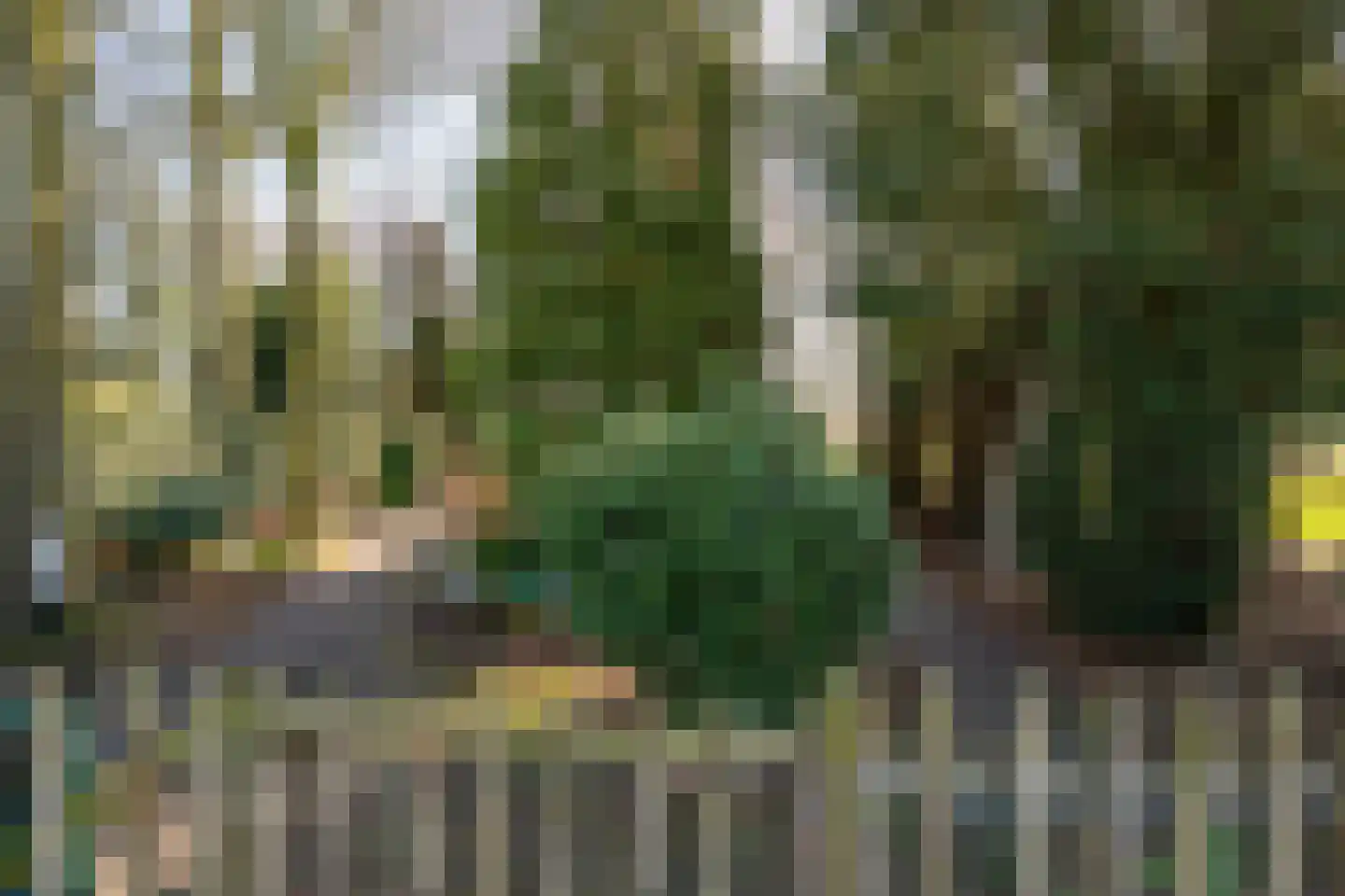 Rijtseweg 56 Diessen thumbnail 38