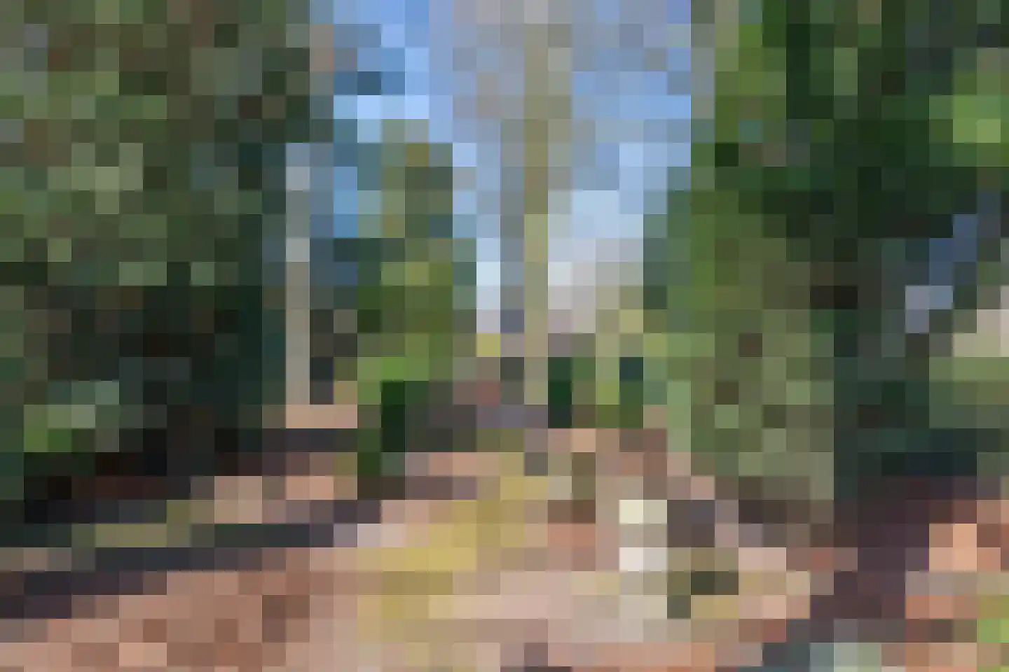 Rijtseweg 56 Diessen thumbnail 39