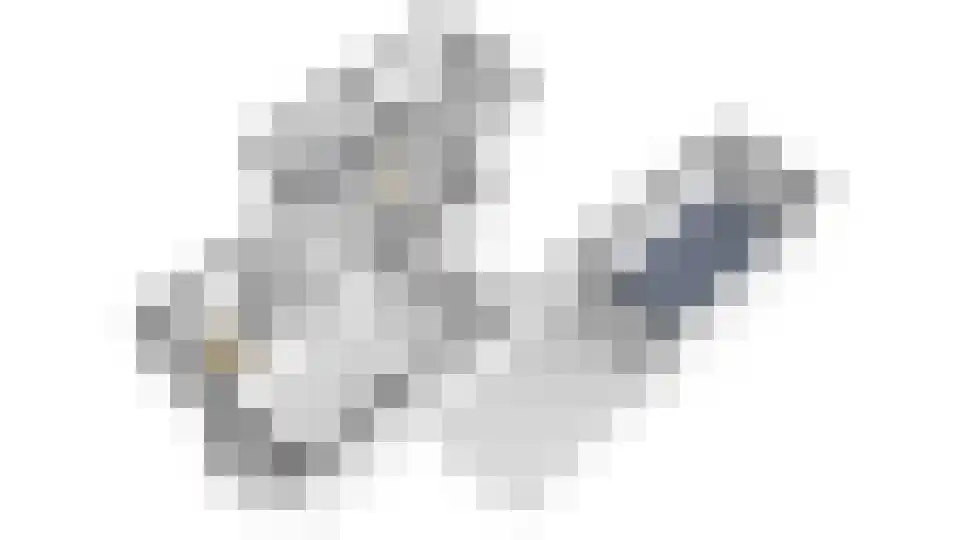Rijtseweg 56 Diessen thumbnail 43