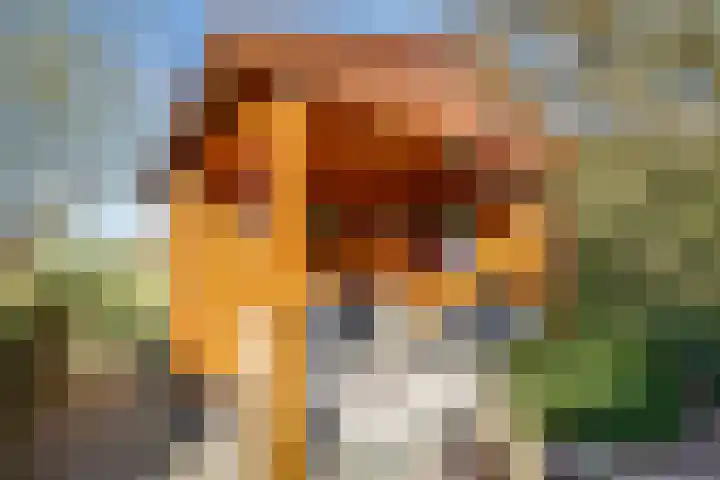 Rijtseweg 7 Prinsenbeek thumbnail 44