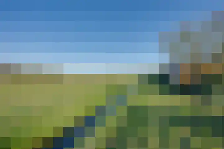 Rijtseweg 7 Prinsenbeek thumbnail 45