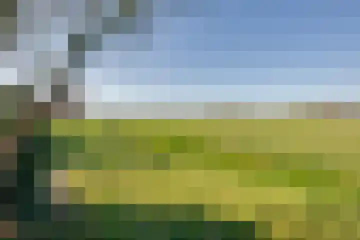 Rijtseweg 7 Prinsenbeek thumbnail 46
