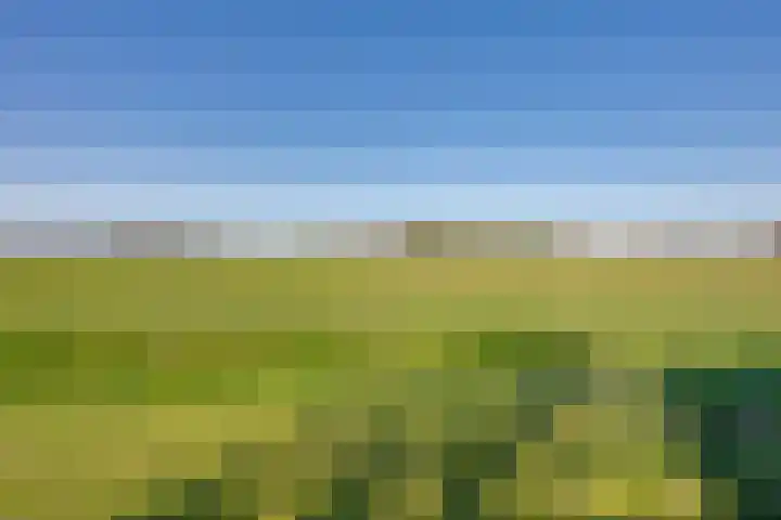 Rijtseweg 7 Prinsenbeek thumbnail 47