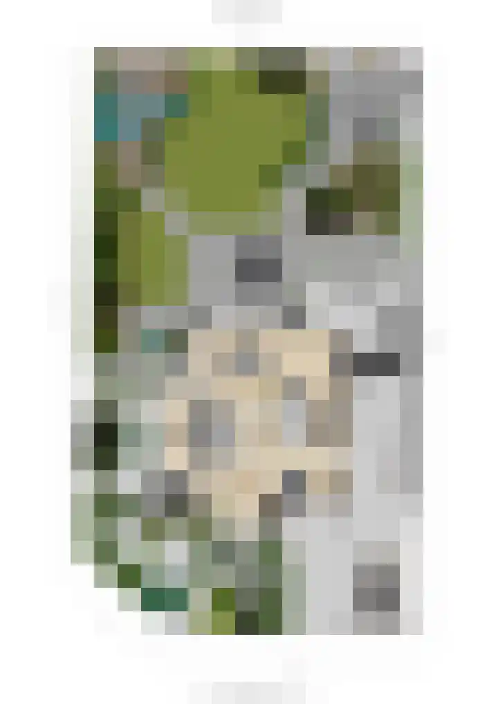 Rijtseweg 7 Prinsenbeek thumbnail 55