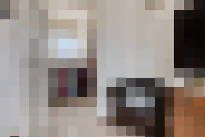 Rijtuigweg 23 Bergen op Zoom thumbnail 42