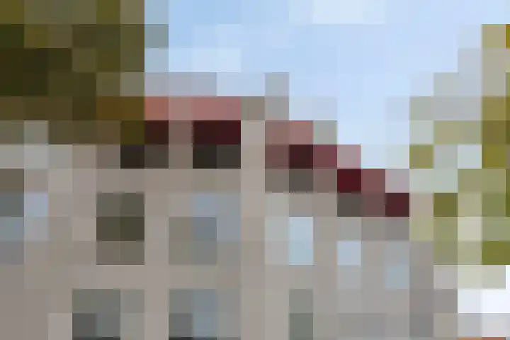 Rijtuigweg 23 Bergen op Zoom thumbnail 55