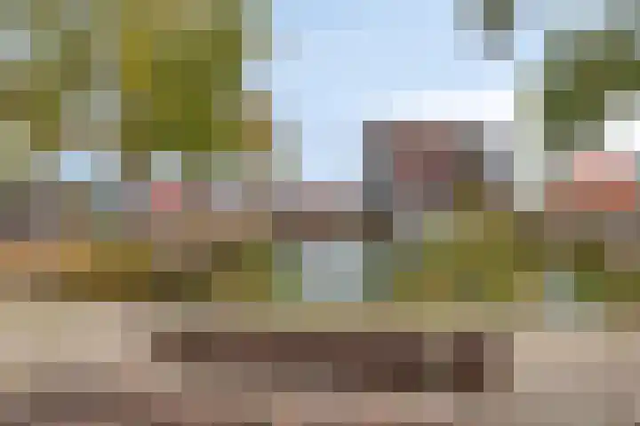Rijtuigweg 23 Bergen op Zoom thumbnail 57