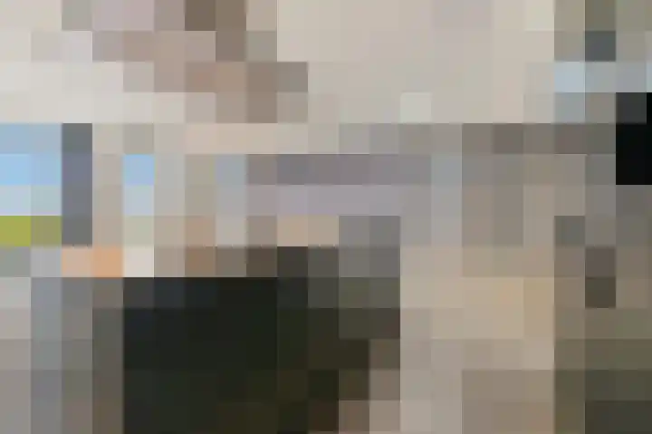 Rijtuigwei 21 Barendrecht thumbnail 13
