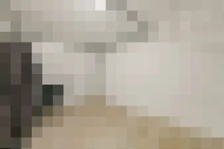Rijtuigwei 21 Barendrecht thumbnail 19