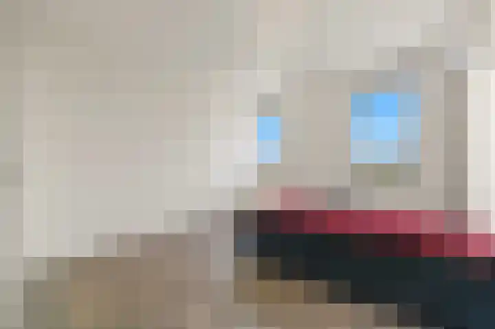 Rijtuigwei 21 Barendrecht thumbnail 29