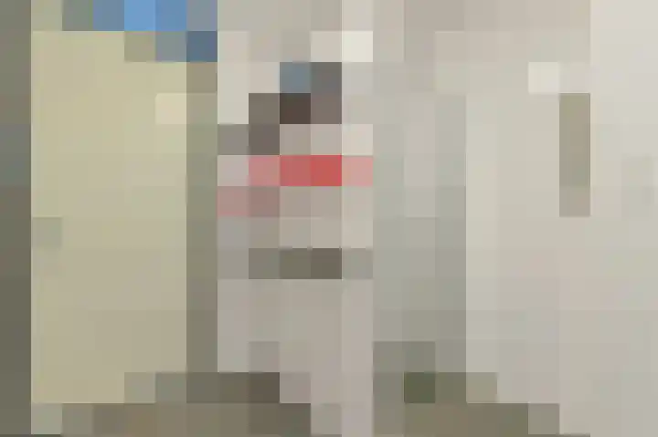 Rijtuigwei 21 Barendrecht thumbnail 31