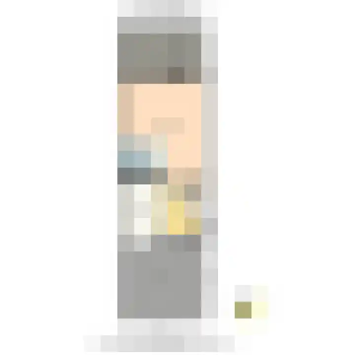 Rijtuigwei 21 Barendrecht thumbnail 49