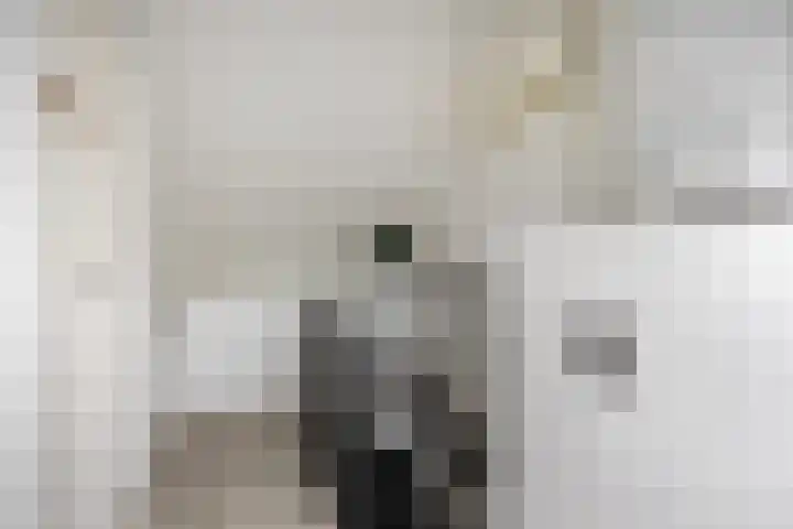 Rijvoortshoef 14 Raamsdonksveer thumbnail 34