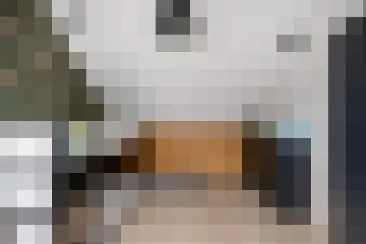 Rijvoortshoef 14 Raamsdonksveer thumbnail 36