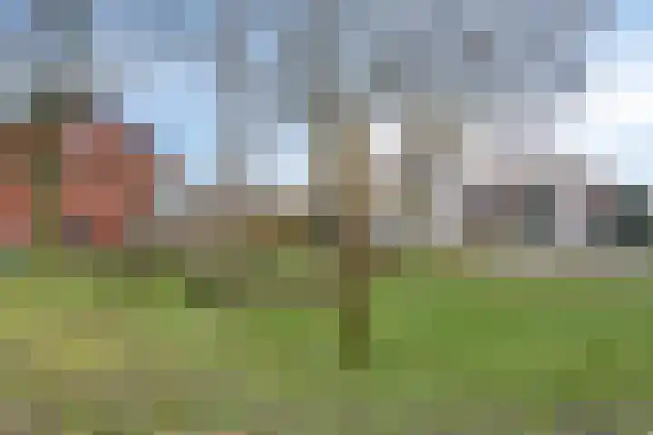 Rijvoortshoef 14 Raamsdonksveer thumbnail 43