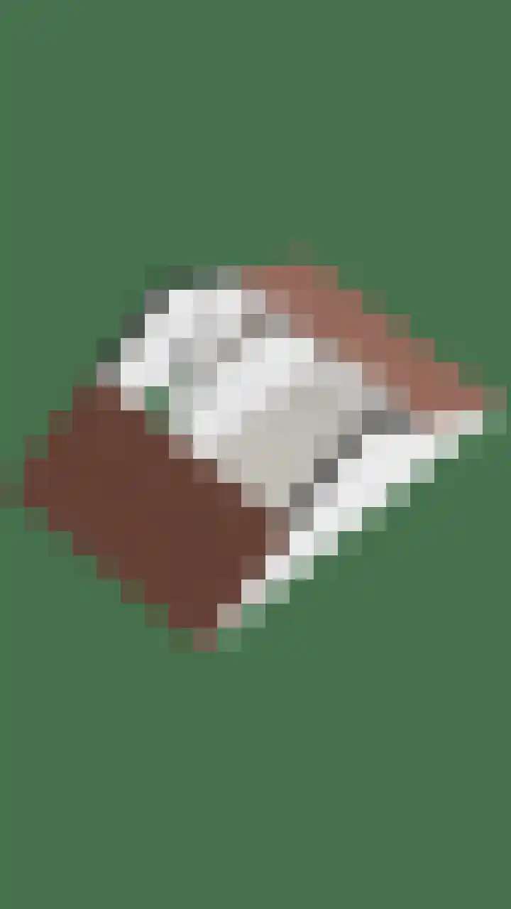Rijvoortshoef 14 Raamsdonksveer thumbnail 50