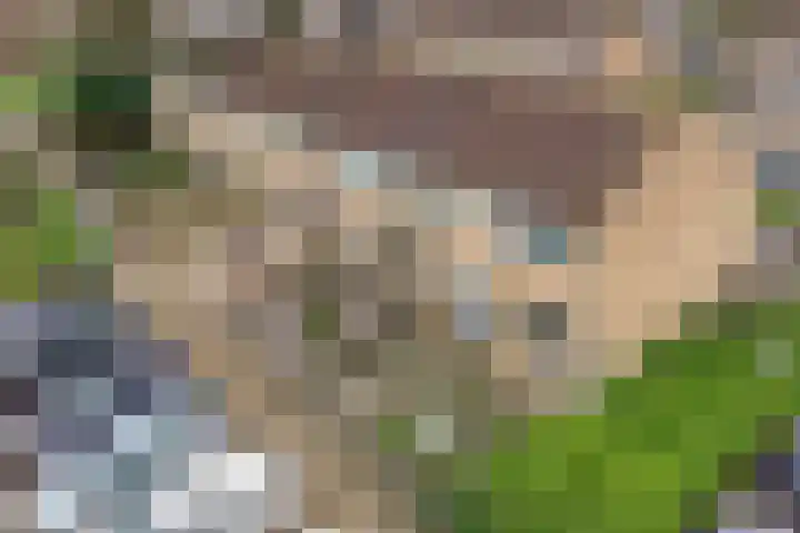 Rijvoortshoef 14 Raamsdonksveer thumbnail 7