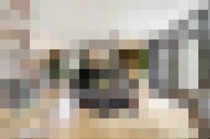 Rijvoortshoef 19 Raamsdonksveer thumbnail 12