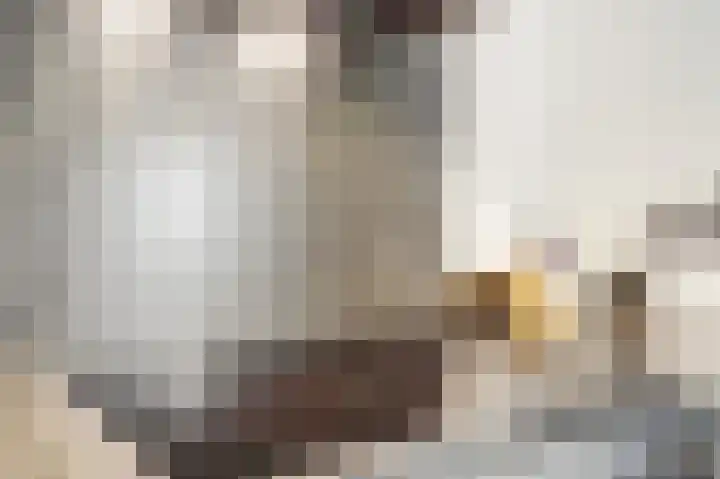 Rijvoortshoef 19 Raamsdonksveer thumbnail 20