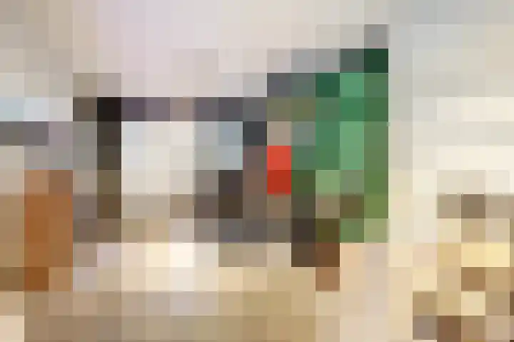 Rijvoortshoef 19 Raamsdonksveer thumbnail 23