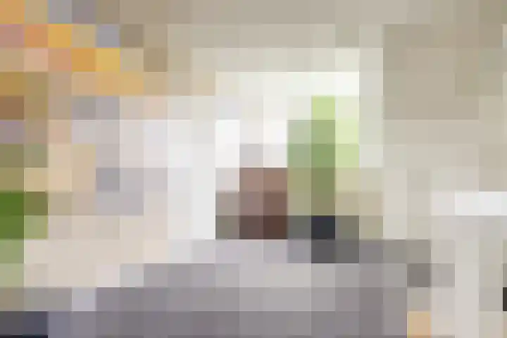 Rijvoortshoef 19 Raamsdonksveer thumbnail 24