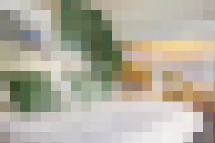Rijvoortshoef 19 Raamsdonksveer thumbnail 27