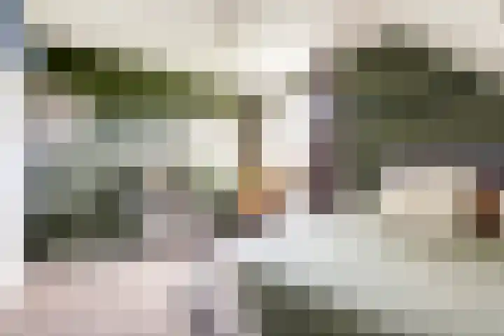 Rijvoortshoef 19 Raamsdonksveer thumbnail 34