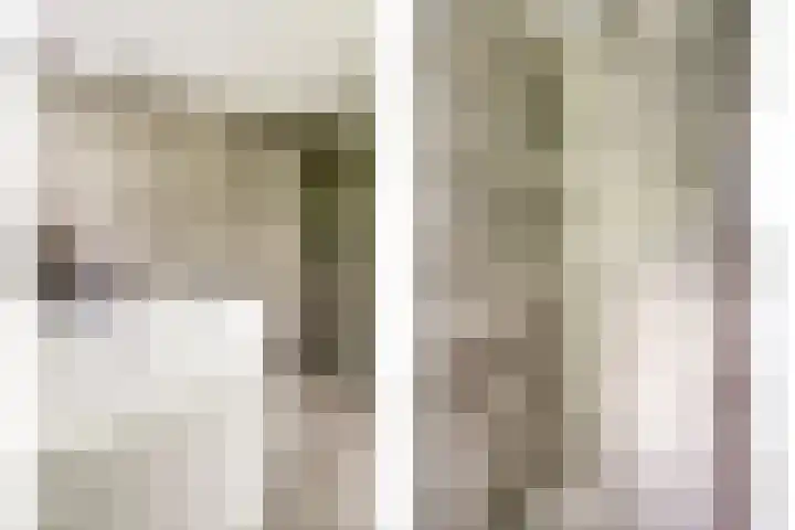 Rijvoortshoef 19 Raamsdonksveer thumbnail 36
