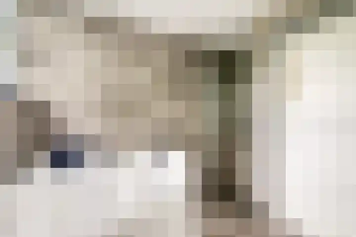 Rijvoortshoef 19 Raamsdonksveer thumbnail 37