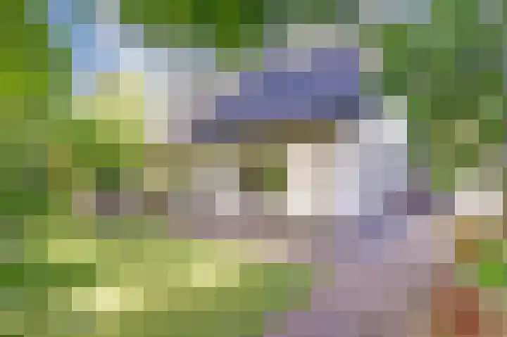 Rijvoortshoef 19 Raamsdonksveer thumbnail 39