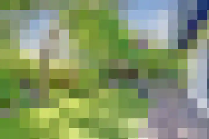 Rijvoortshoef 19 Raamsdonksveer thumbnail 41