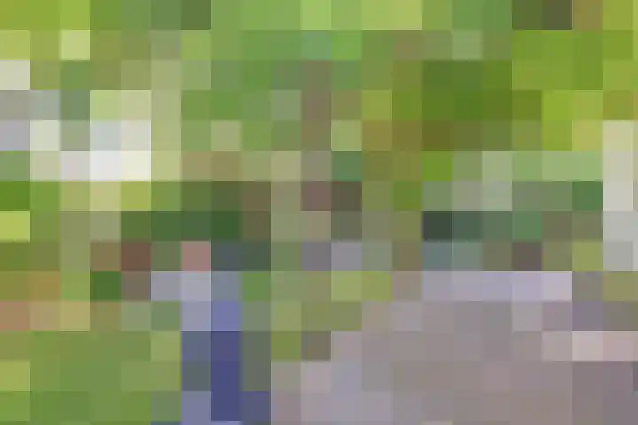 Rijvoortshoef 19 Raamsdonksveer thumbnail 42