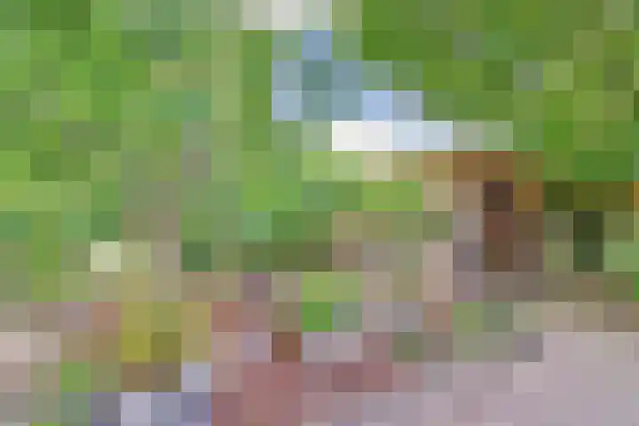 Rijvoortshoef 19 Raamsdonksveer thumbnail 43