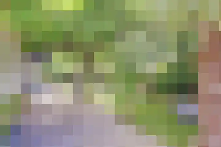 Rijvoortshoef 19 Raamsdonksveer thumbnail 45