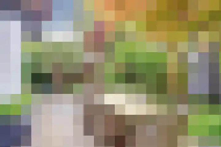 Rijvoortshoef 19 Raamsdonksveer thumbnail 46