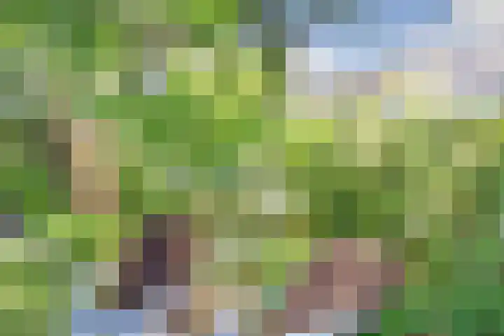 Rijvoortshoef 19 Raamsdonksveer thumbnail 49