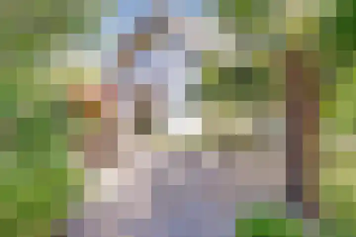 Rijvoortshoef 19 Raamsdonksveer thumbnail 5