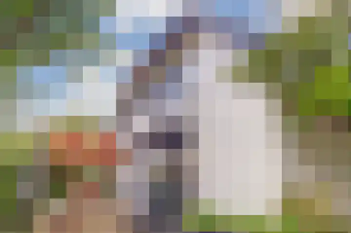 Rijvoortshoef 19 Raamsdonksveer thumbnail 50