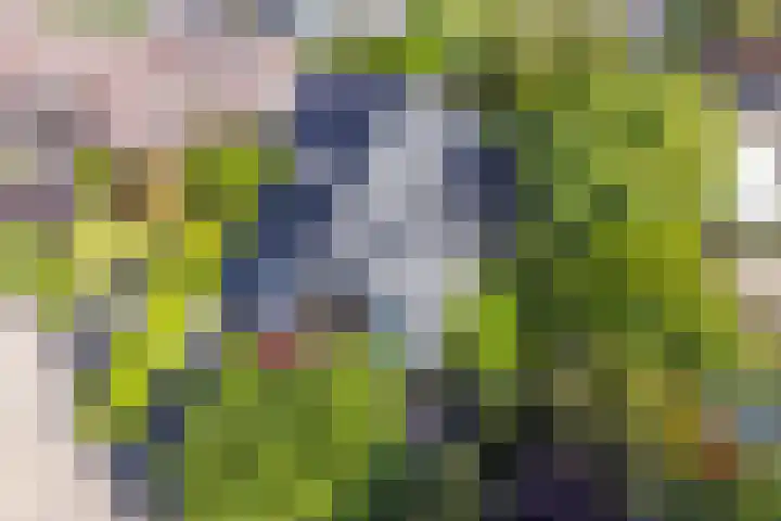 Rijvoortshoef 19 Raamsdonksveer thumbnail 52
