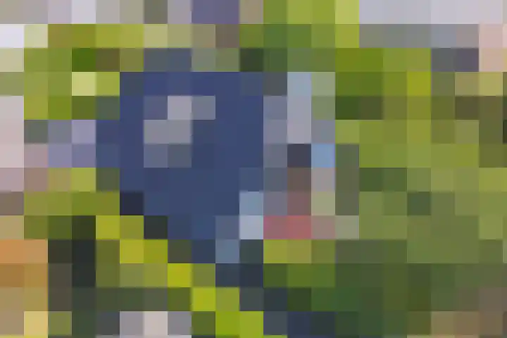 Rijvoortshoef 19 Raamsdonksveer thumbnail 53