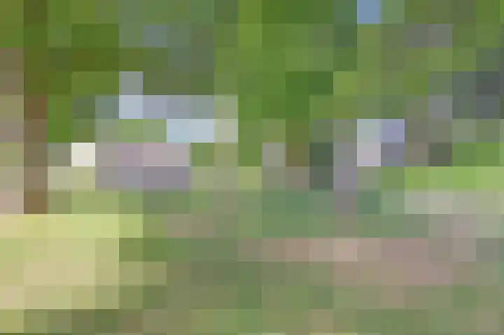 Rijvoortshoef 19 Raamsdonksveer thumbnail 54