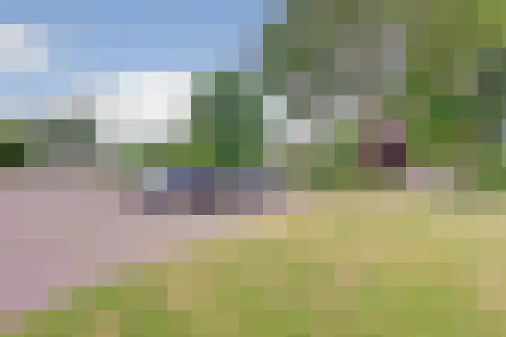 Rijvoortshoef 19 Raamsdonksveer thumbnail 56