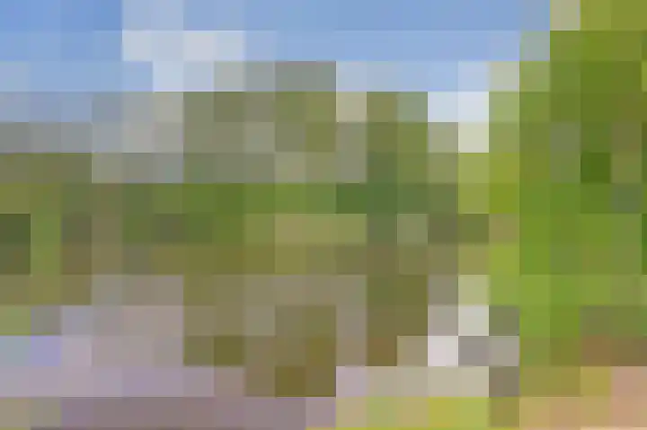 Rijvoortshoef 19 Raamsdonksveer thumbnail 57