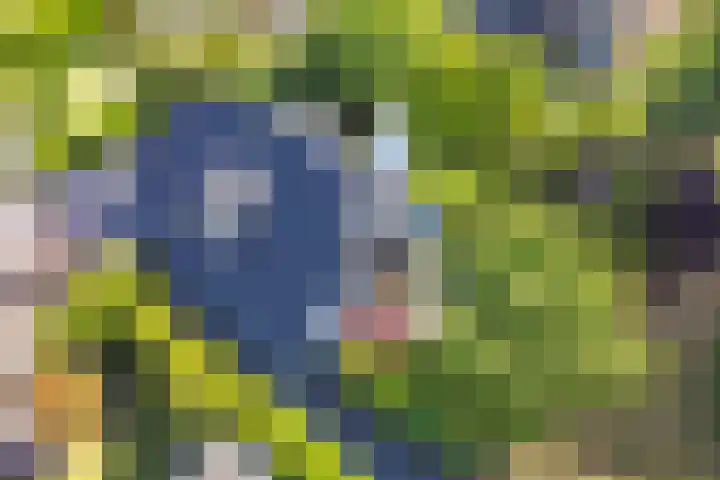 Rijvoortshoef 19 Raamsdonksveer thumbnail 63
