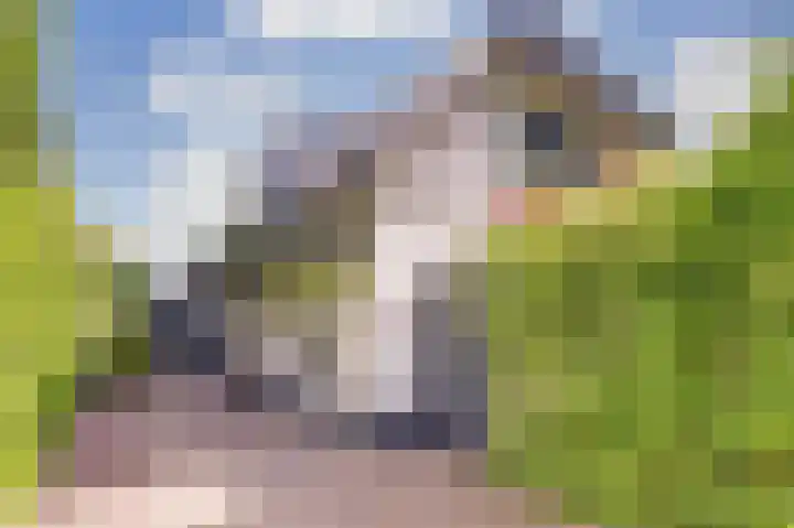Rijvoortshoef 19 Raamsdonksveer thumbnail 7