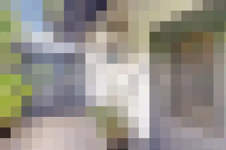 Rijvoortshoef 19 Raamsdonksveer thumbnail 8