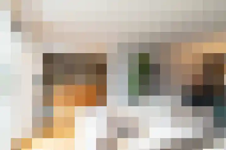 Rijvoortshoef 226 Raamsdonksveer thumbnail 21